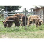 natureliferanch