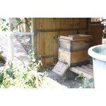 Bienen