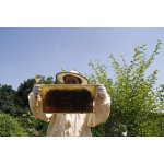 Bienen